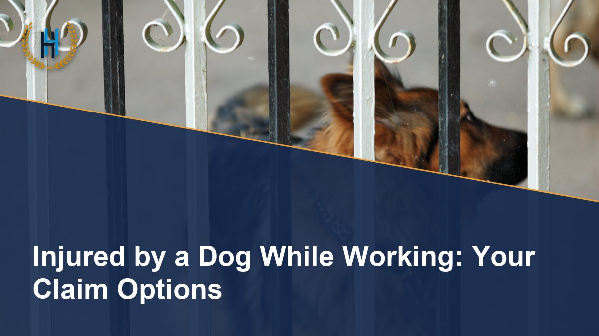 German shepherd watching through the bars of a front gate